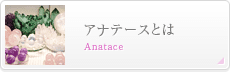 アナテースとは｜Anatace